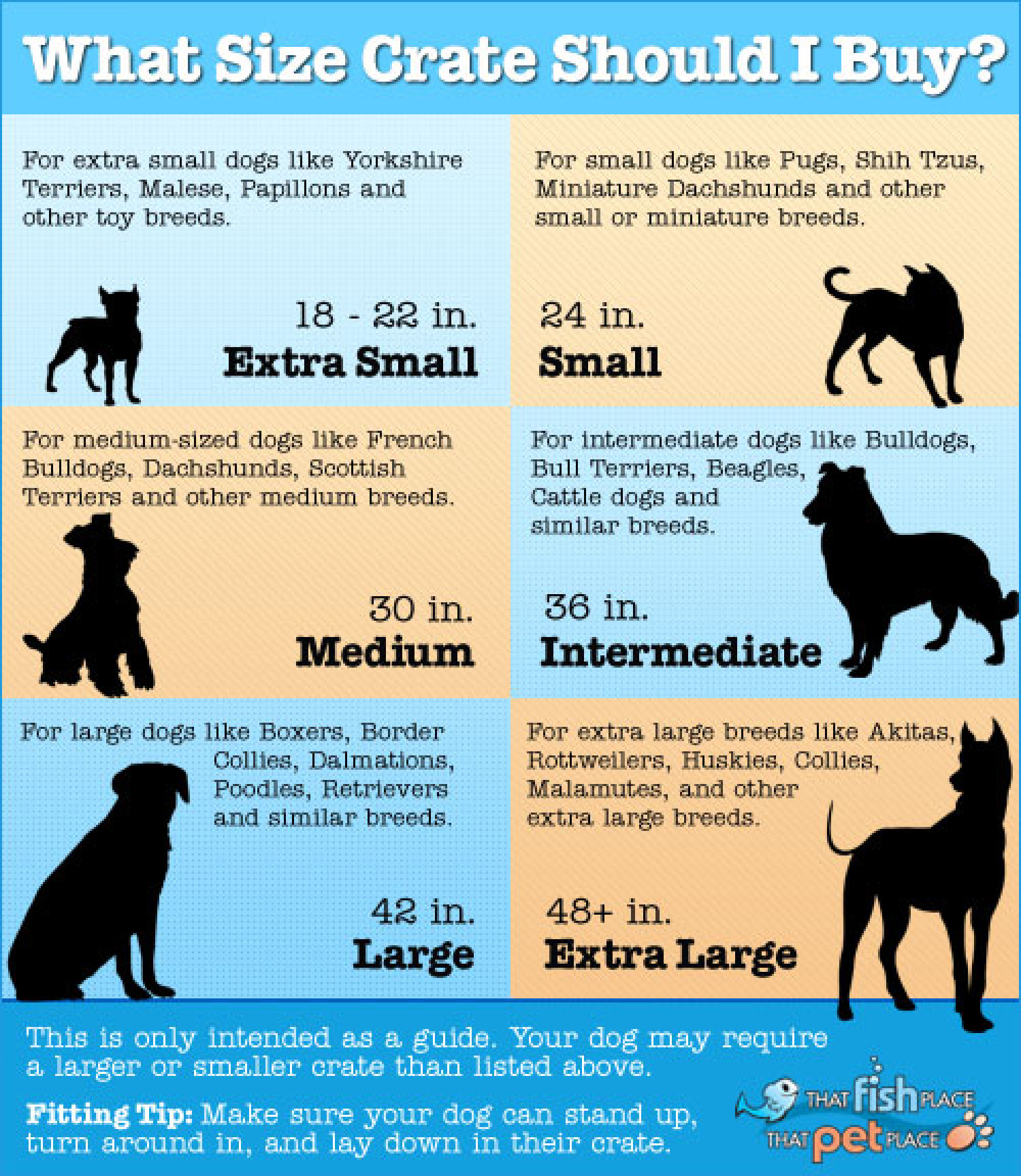 What Size Dog Crate to Buy Infographic