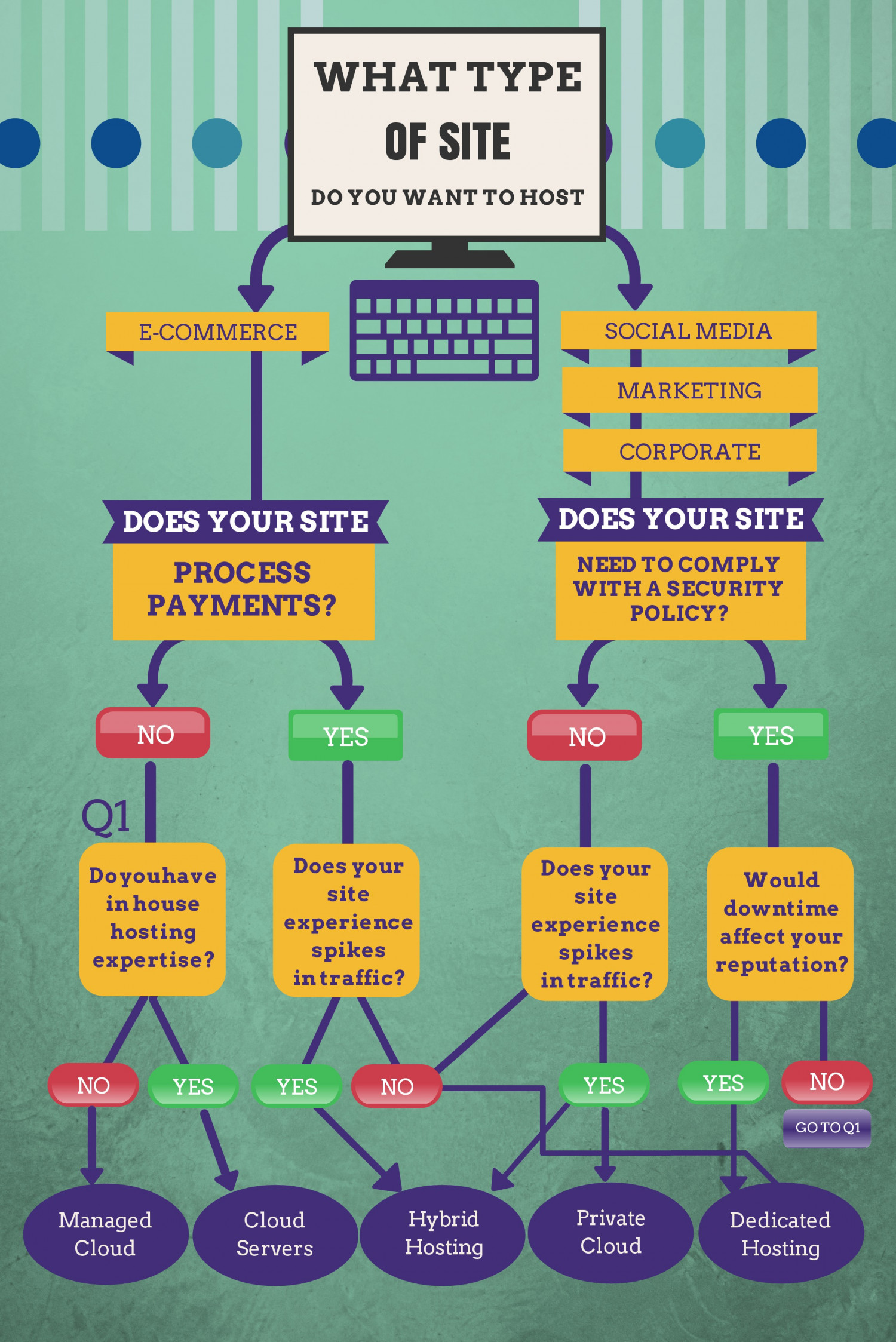 What Type of Site do You Want to Host?  Infographic