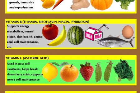 What Vitamins Do I Need? Infographic