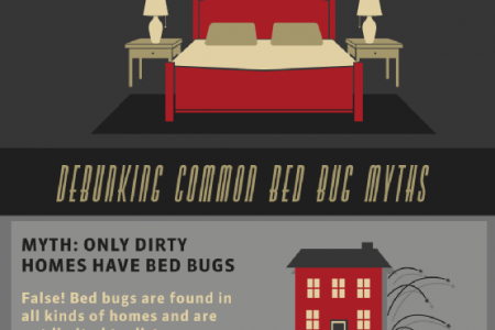 What You May Not Know about Bed Bugs Infographic