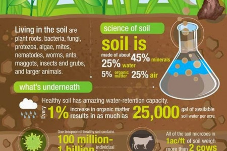What's in our soil? Infographic