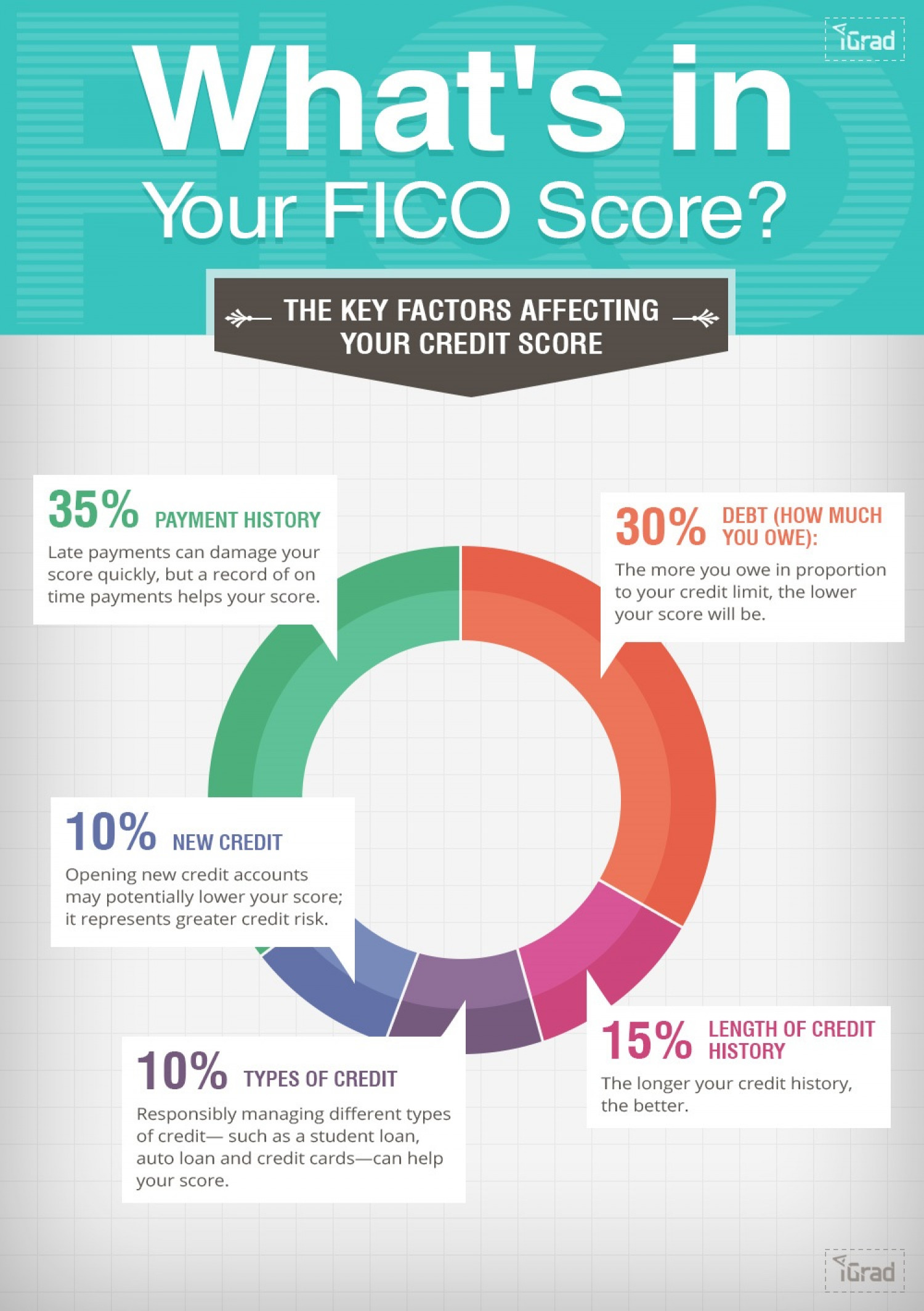 What's in Your Credit Score? Infographic