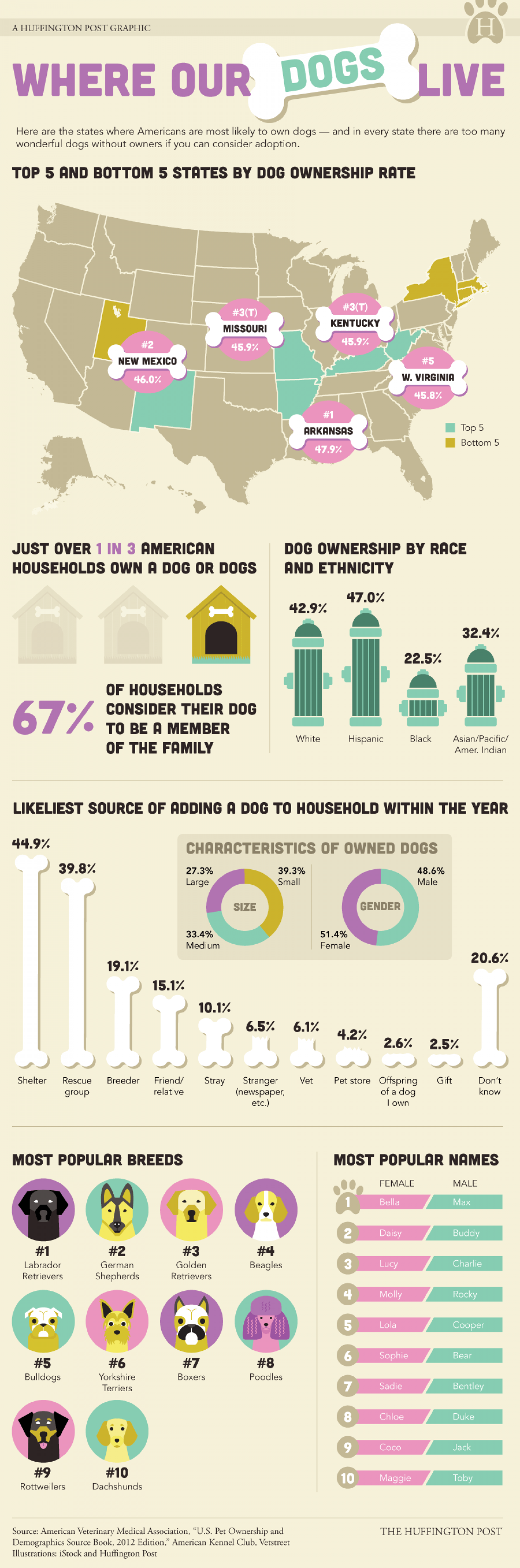 Where Our Dogs Live Infographic