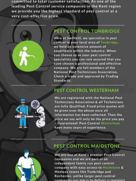 Pest Control Tonbridge Westerham, Maidstone Succeeds Infographic