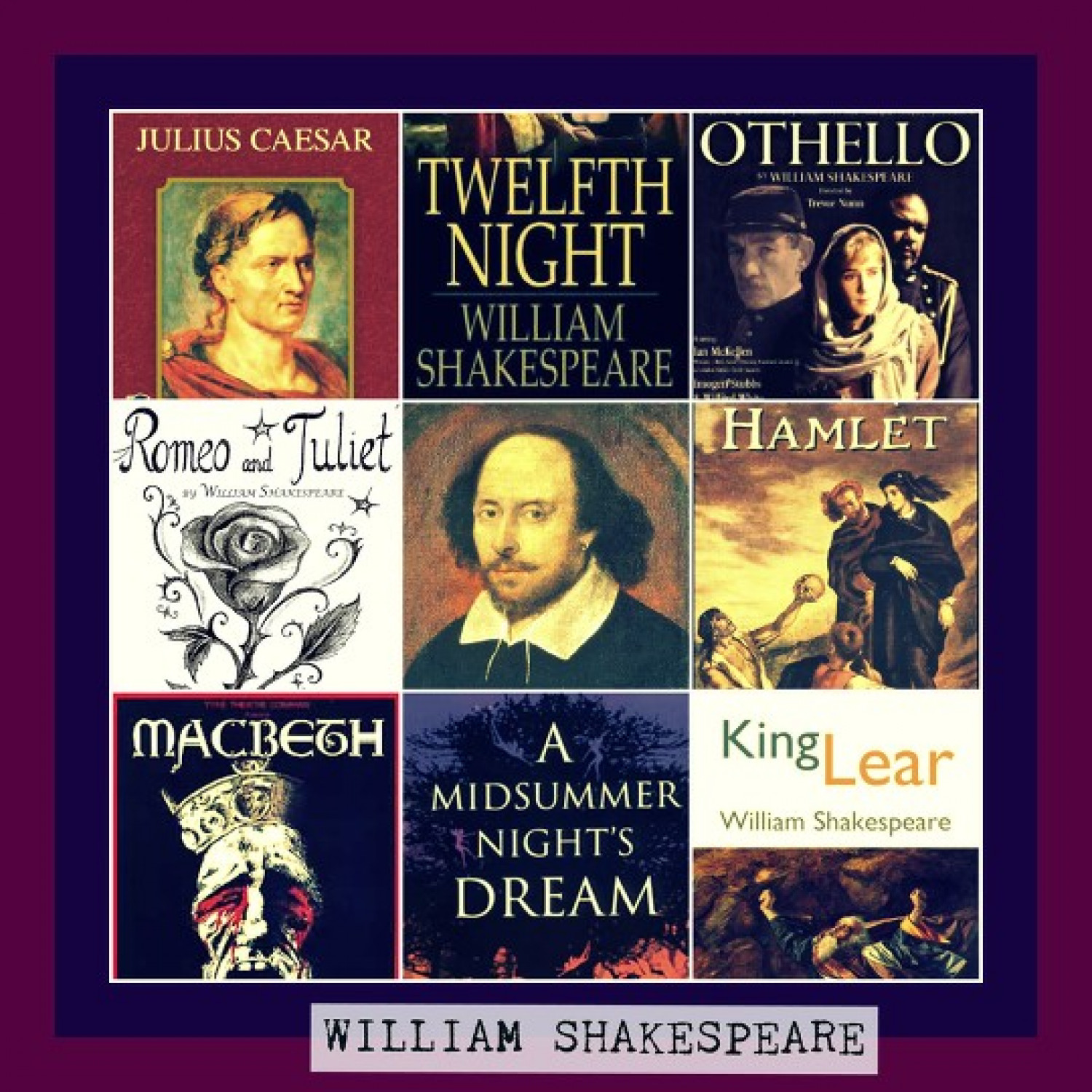 William Shakespeare Infographic
