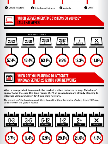 Windows Server Survey Infographic