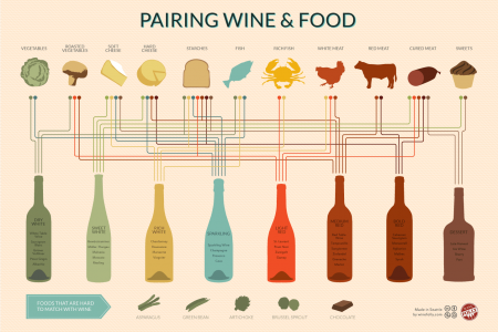Wine Pairing Chart Infographic