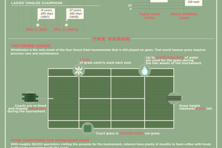 Winning Wimbledon Infographic