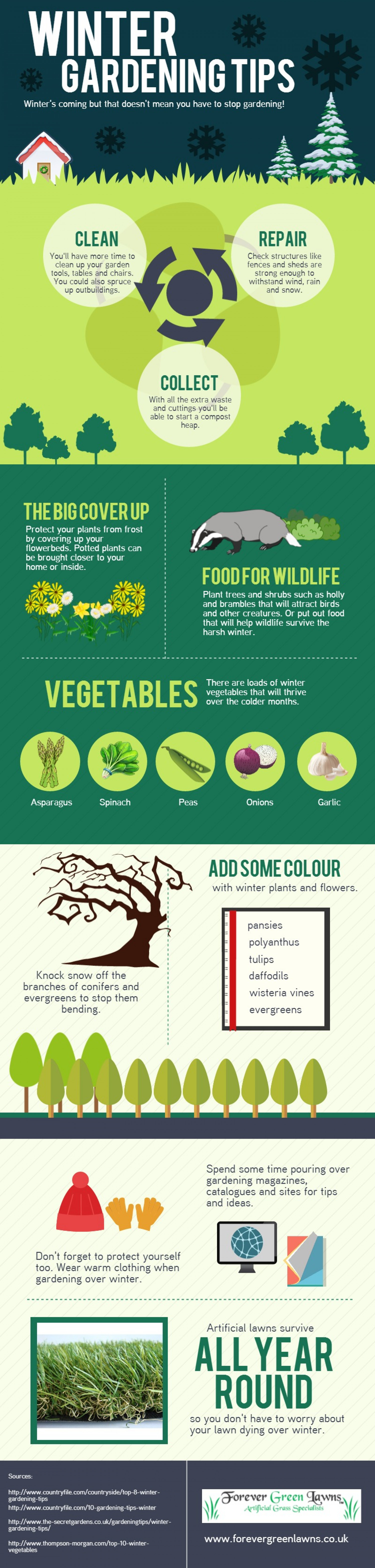 Winter Gardening Tips Infographic