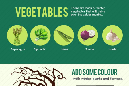 Winter Gardening Tips Infographic