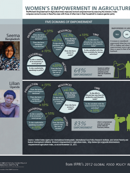 Women's Empowerment in Agriculture Index Infographic