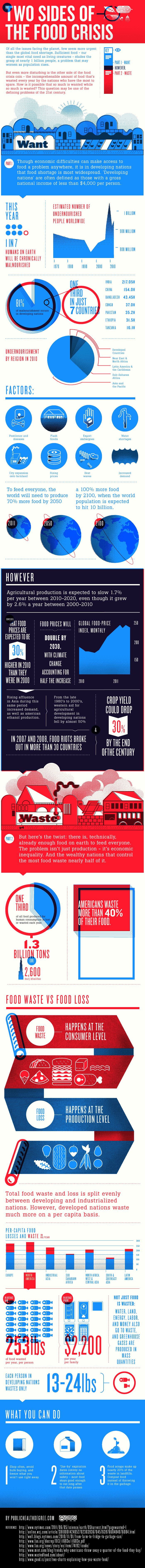 World Food Crisis Infographic