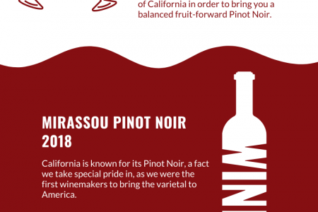 World’s Best Red wine in 2022 | Online Liquor | Del Mesa Liquor Infographic