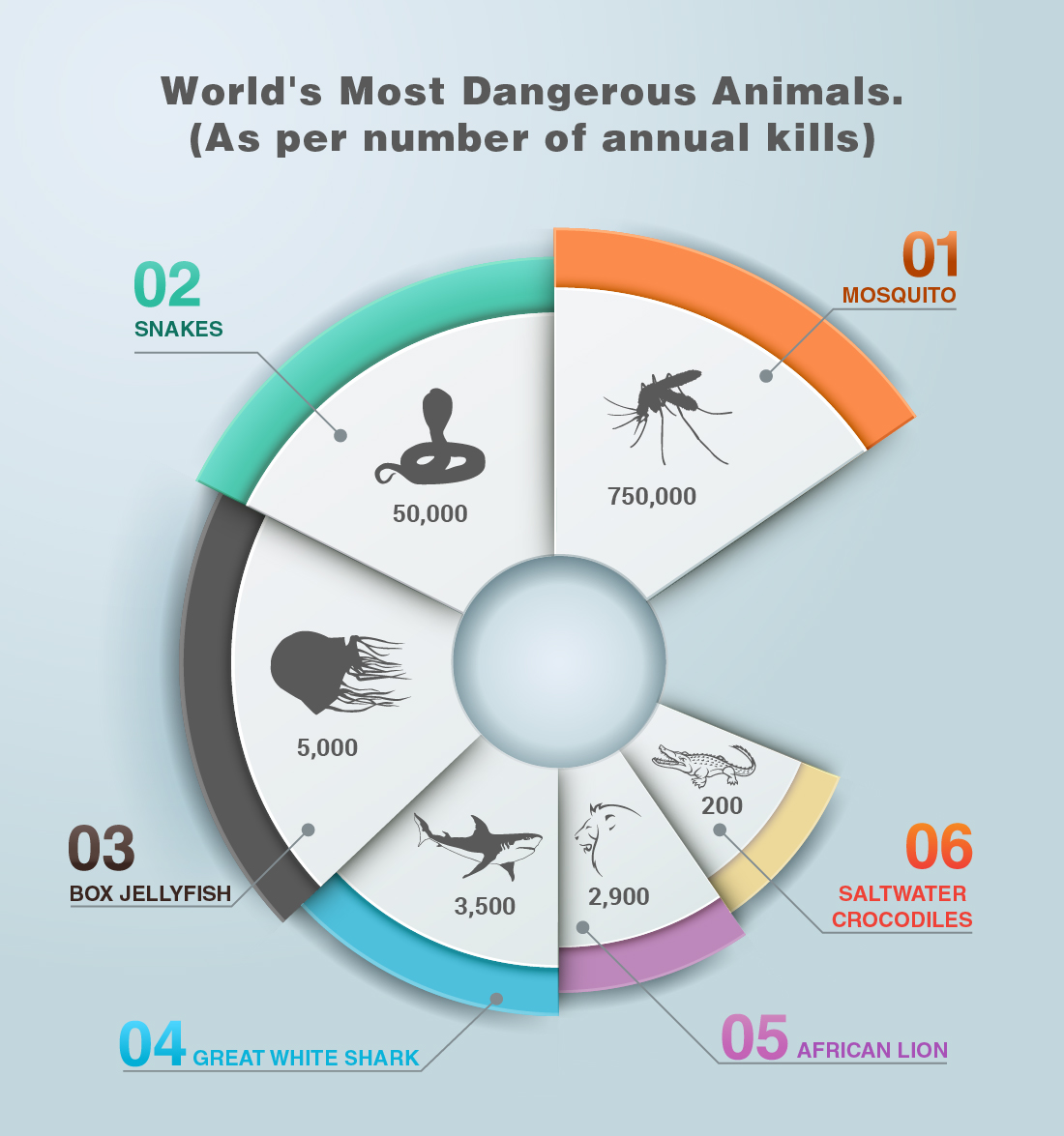 World’s Most Dangerous Animals | Visual.ly
