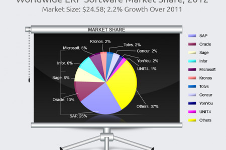 Worldwide ERP Software Market Shares Infographic