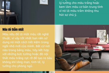 Xu hướng màu sắc đậm cho ngôi nhà sang trọng Infographic