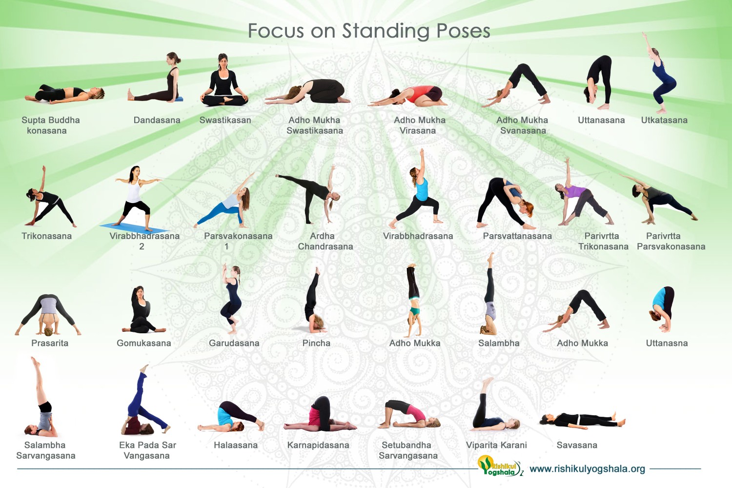 Partner Up: Explore 15 Best And Easy 2 Person Yoga Poses! - The Yoga Nomads