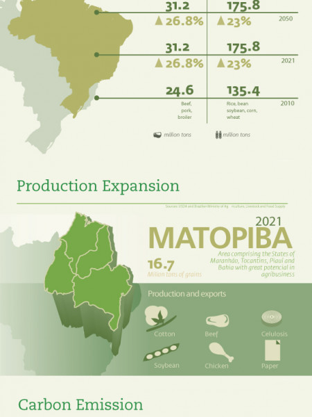 Brazilian Agribussiness Infographic